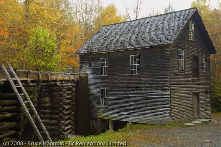 MINGUS MILL